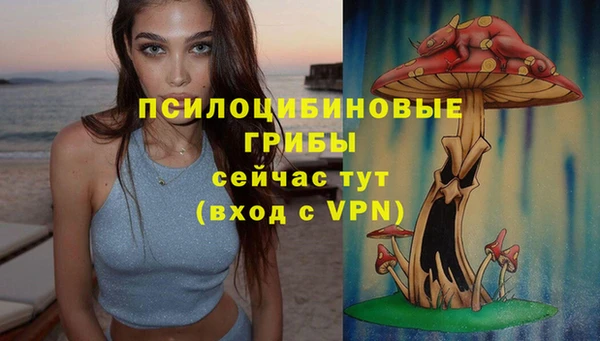 гидропоника Верхний Тагил