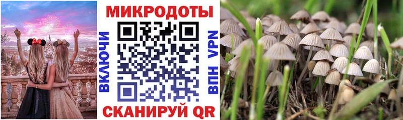 Псилоцибиновые грибы мухоморы  Мытищи 